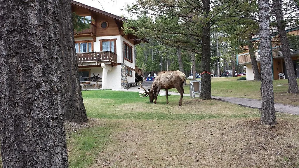 *** Hotel Douglas Fir Resort & Chalets Banff Kanada
